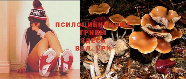 кокаин VHQ Беломорск