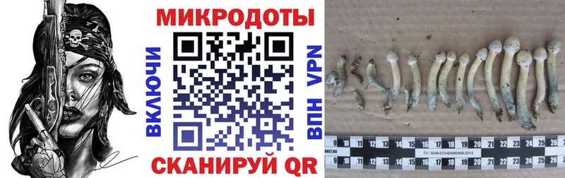 Псилоцибиновые грибы прущие грибы Верхотурье